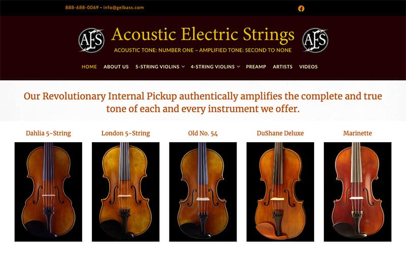 acoustic electric strings